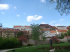 303-dsc00394.jpg.small.jpeg