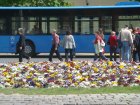 308-dsc00401.jpg.small.jpeg