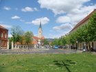 319-dsc00413.jpg.small.jpeg
