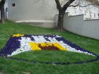 323-dsc00417.jpg.small.jpeg