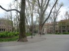 350-dsc00445.jpg.small.jpeg
