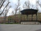 351-dsc00446.jpg.small.jpeg