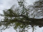 354-dsc00449.jpg.small.jpeg
