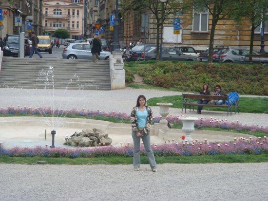 374-dsc00470.jpg.medium.jpeg