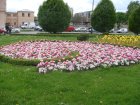 380-dsc00476.jpg.small.jpeg