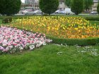 383-dsc00479.jpg.small.jpeg