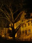 391-dsc00490.jpg.small.jpeg