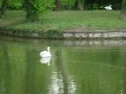 431-dsc00539.jpg.small.jpeg