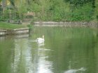 432-dsc00540.jpg.small.jpeg
