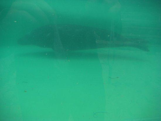 438-dsc00546.jpg.medium.jpeg