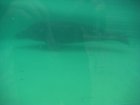 438-dsc00546.jpg.small.jpeg