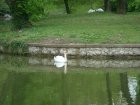 440-dsc00548.jpg.small.jpeg