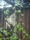 441-dsc00549.jpg.small.jpeg
