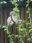 442-dsc00550.jpg.small.jpeg