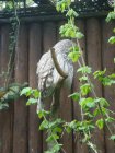 443-dsc00551.jpg.small.jpeg