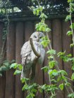 444-dsc00552.jpg.small.jpeg