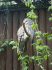 445-dsc00553.jpg.small.jpeg