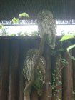 446-dsc00554.jpg.small.jpeg