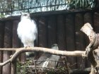 449-dsc00557.jpg.small.jpeg