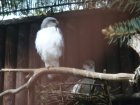 450-dsc00558.jpg.small.jpeg