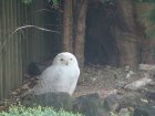 451-dsc00559.jpg.small.jpeg