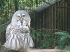453-dsc00561.jpg.small.jpeg