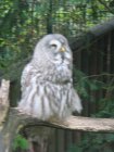 454-dsc00562.jpg.small.jpeg