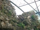 456-dsc00564.jpg.small.jpeg
