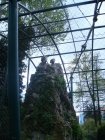 459-dsc00567.jpg.small.jpeg