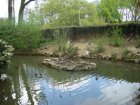 460-dsc00568.jpg.small.jpeg