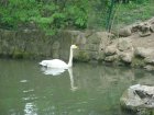 461-dsc00569.jpg.small.jpeg
