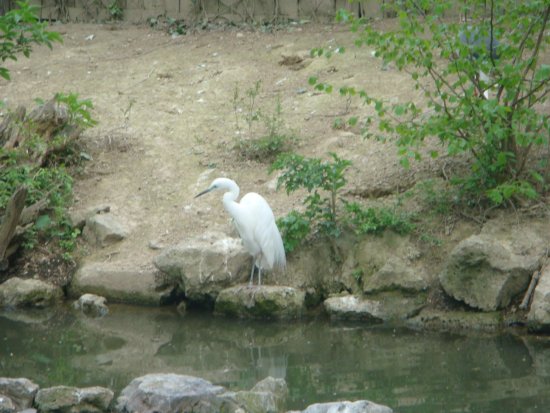 462-dsc00570.jpg.medium.jpeg