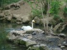 463-dsc00571.jpg.small.jpeg