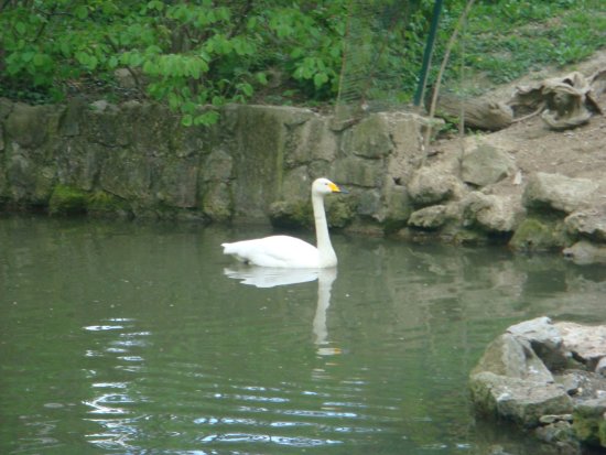464-dsc00572.jpg.medium.jpeg