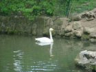 464-dsc00572.jpg.small.jpeg