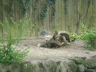 465-dsc00573.jpg.small.jpeg