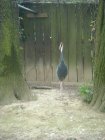466-dsc00574.jpg.small.jpeg