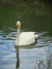 468-dsc00576.jpg.small.jpeg