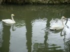469-dsc00577.jpg.small.jpeg