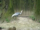 470-dsc00578.jpg.small.jpeg