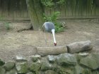 471-dsc00579.jpg.small.jpeg