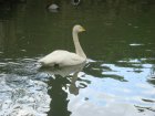 472-dsc00580.jpg.small.jpeg