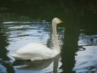 473-dsc00581.jpg.small.jpeg
