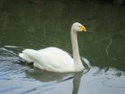 474-dsc00582.jpg.small.jpeg