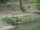 475-dsc00583.jpg.small.jpeg