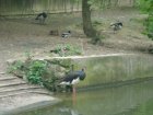476-dsc00584.jpg.small.jpeg