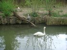 478-dsc00586.jpg.small.jpeg