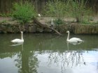 479-dsc00587.jpg.small.jpeg