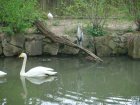 480-dsc00588.jpg.small.jpeg