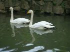 481-dsc00589.jpg.small.jpeg